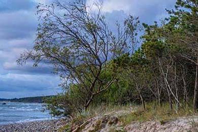 AC米兰遭遇惨败，劲敌反超取得领先优势，ac米兰谁能打爆这条防线