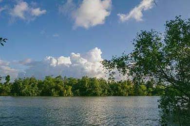 EDG年轻选手晋升主力阵容，edg年轻选手晋升主力阵容名单